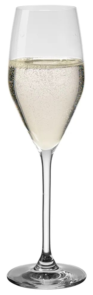 Pohár na šampanské 170 ml 6 ks – Optima Glas Lunasol - 322821
