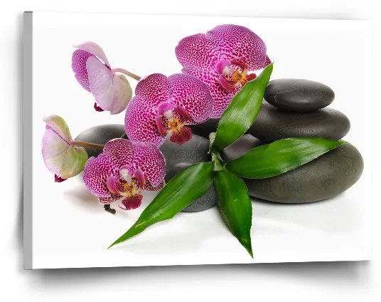 Sablio Obraz Orchidea a kamene - 90x60 cm