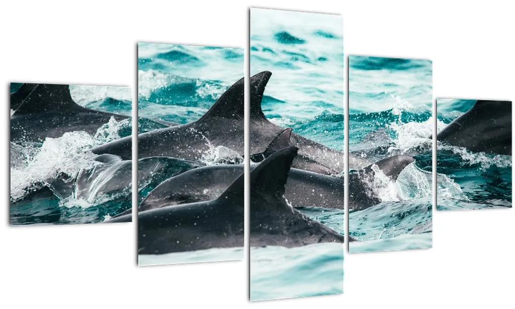 Obraz - Delfíny v oceáne (125x70 cm), 40 ďalších rozmerov
