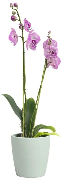 Keramický kvetináč ø 14 cm Thalia – Artevasi