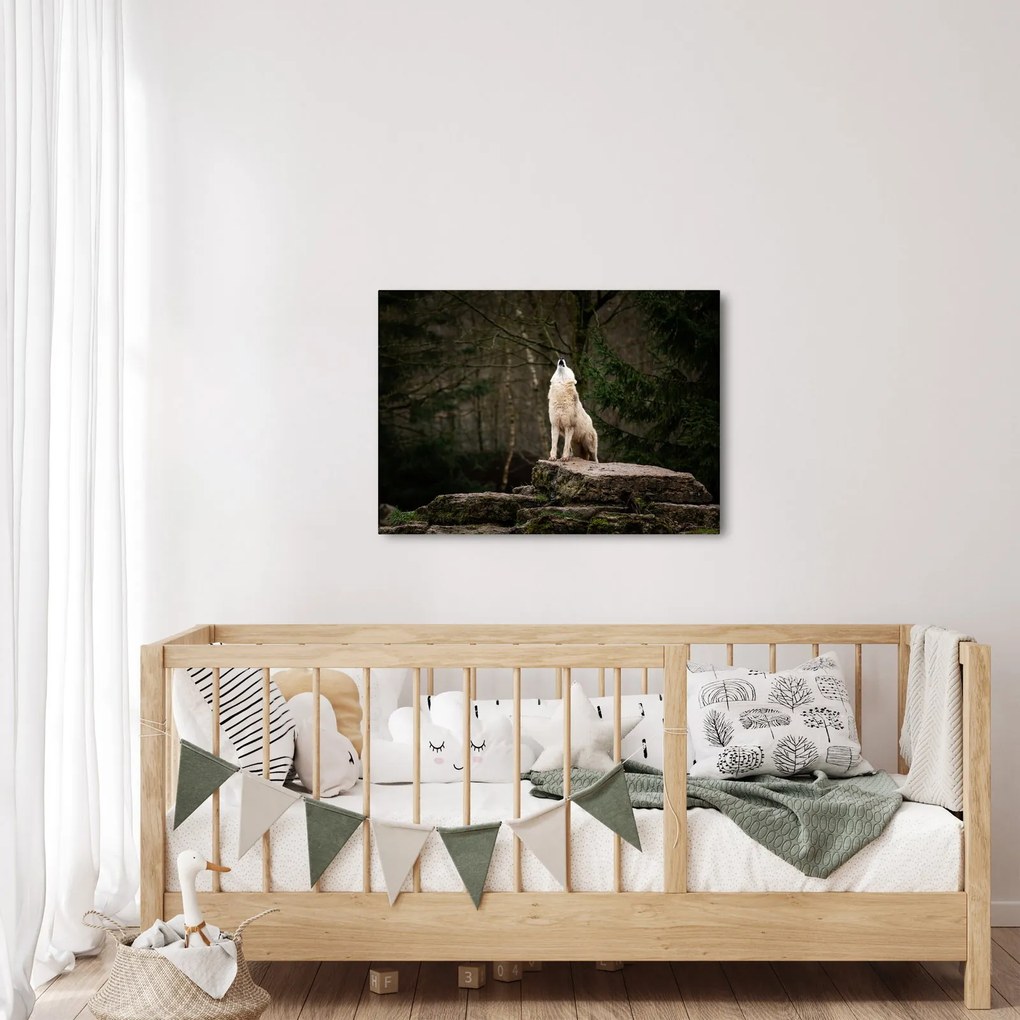 Obraz - Vytie vlka (70x50 cm)