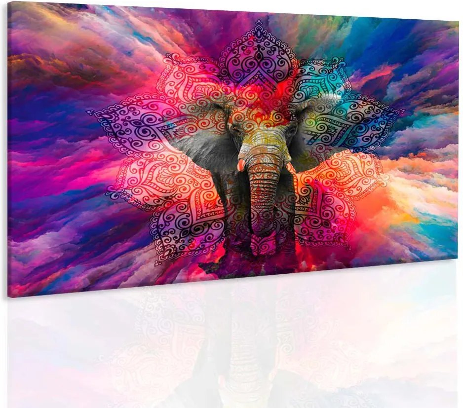 InSmile Obraz slon štěstí(90x60 cm)