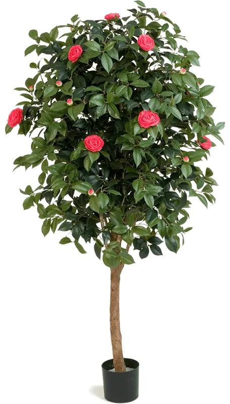 Umelá rastlina Camelia ball ružová 180 cm