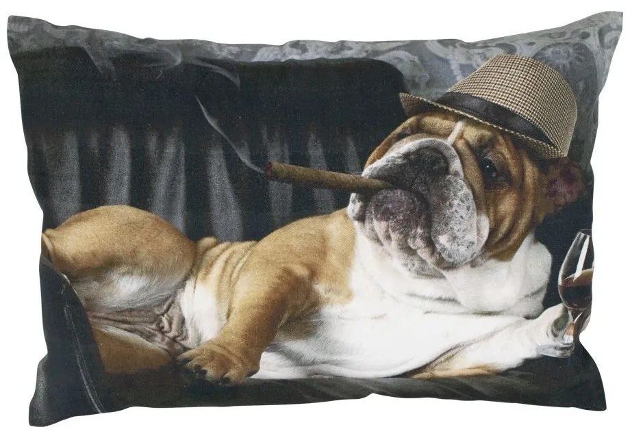 Zamatový vankúš s anglickým buldogom a pohárikom koňaku - 35 * 50 * 10cm