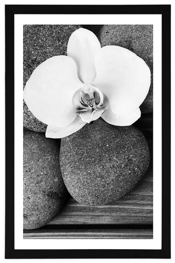 Plagát s paspartou wellness kamene a orchidea na drevenom pozadí v čiernobielom prevedení - 60x90 silver