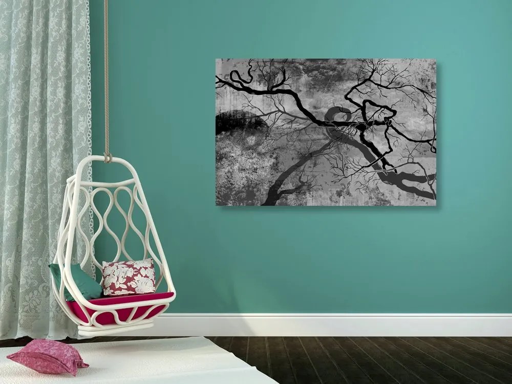 Obraz surrealistické stromy v čiernobielom prevedení Varianta: 120x80