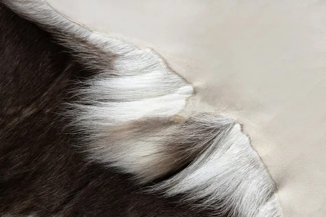 Koberec RENIFER POK014 hnedý / sivý