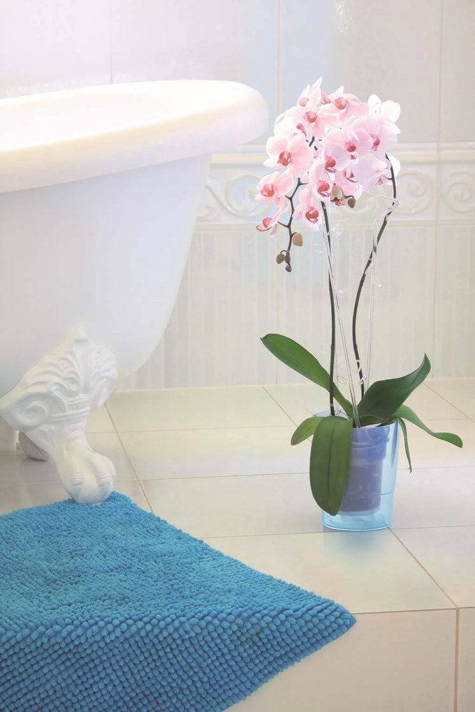 Kvetináč Coubi Orchidea zelený transparentný mat