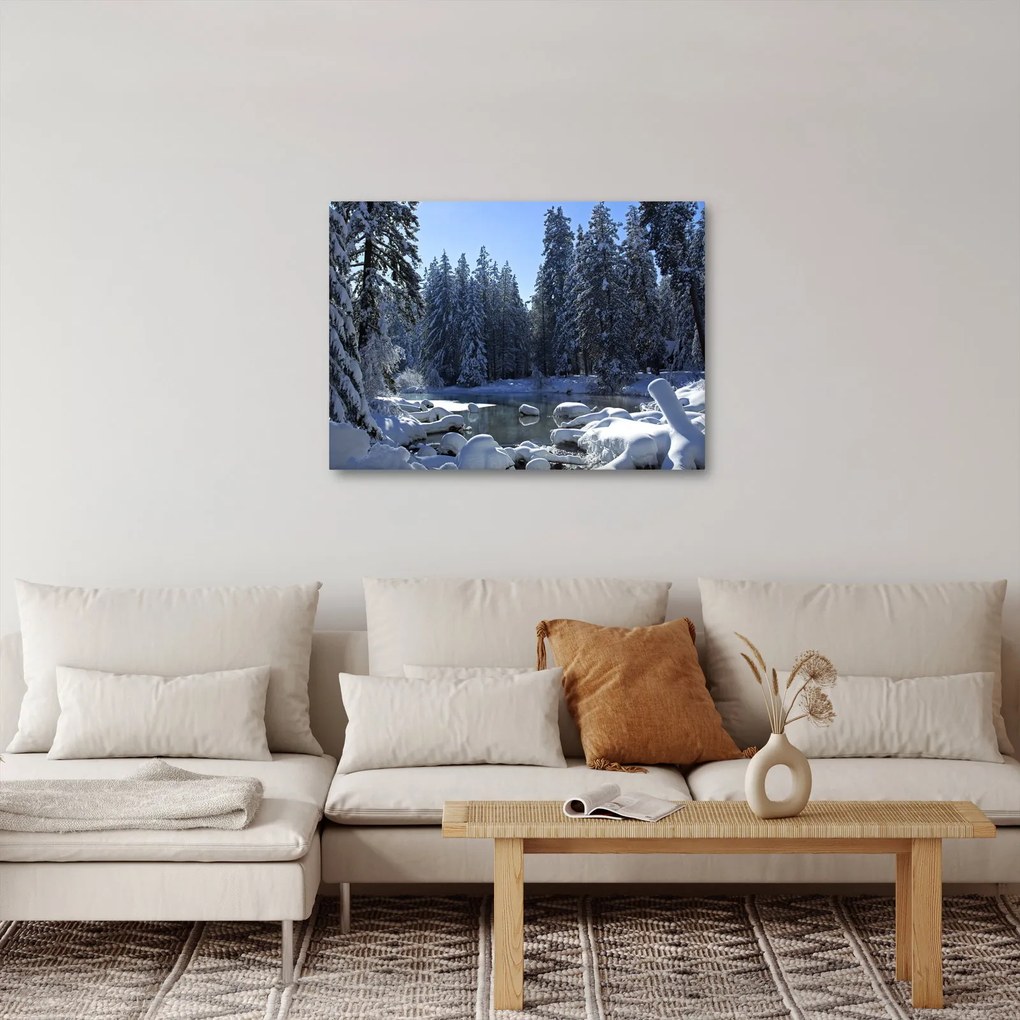 Obraz zasneženého lesa (70x50 cm)