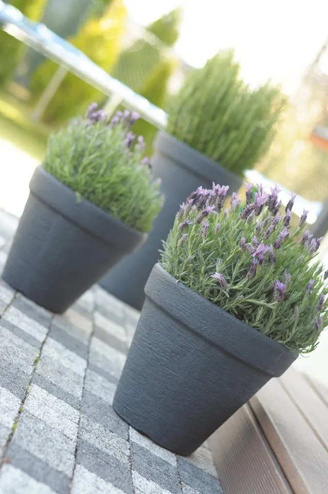 Nízky kvetináč Classic tmavosivý