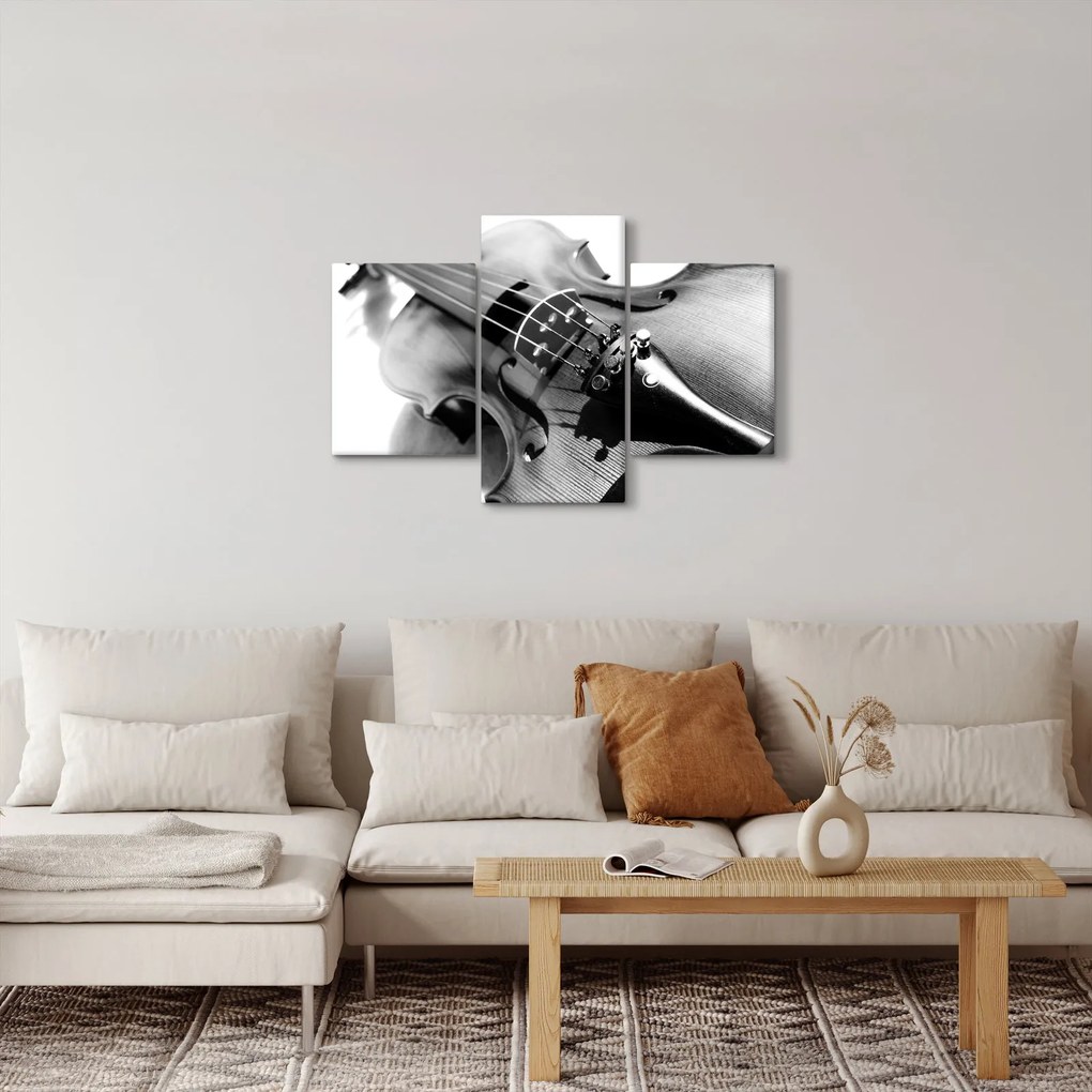 Obraz - Husle (90x60 cm)