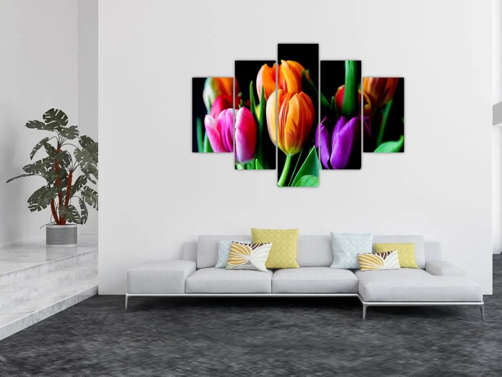 Obraz tulipánov na čiernom pozadí (150x105 cm)