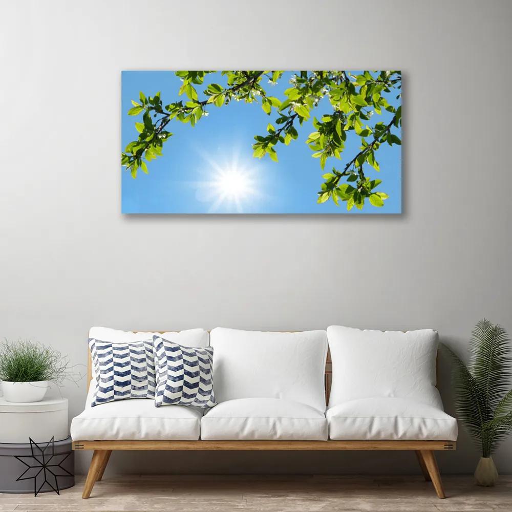 Obraz na plátne Slnko príroda 100x50 cm