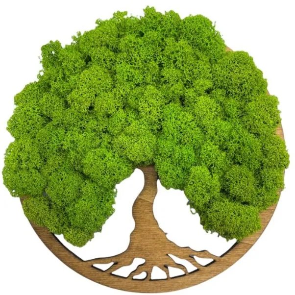 Strom na stenu z machu Daphne 20 cm