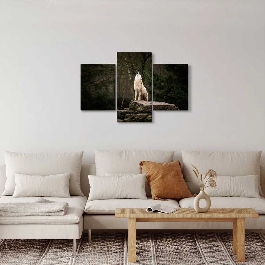 Obraz - Vytie vlka (90x60 cm)