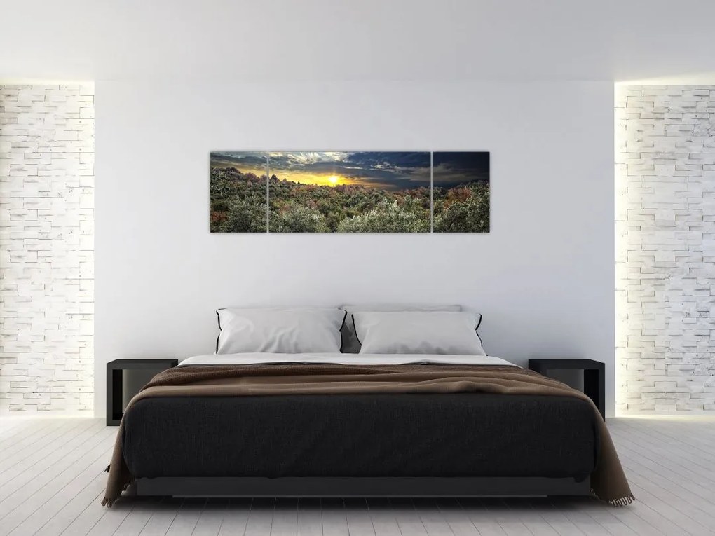 Obraz - zelený sád