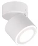 TAURUS | Stropne prisadená biela dizajnová LED lampa