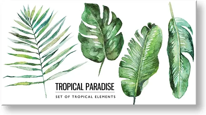 Obraz na stenu s textom Tropical paradise | rôzne rozmery