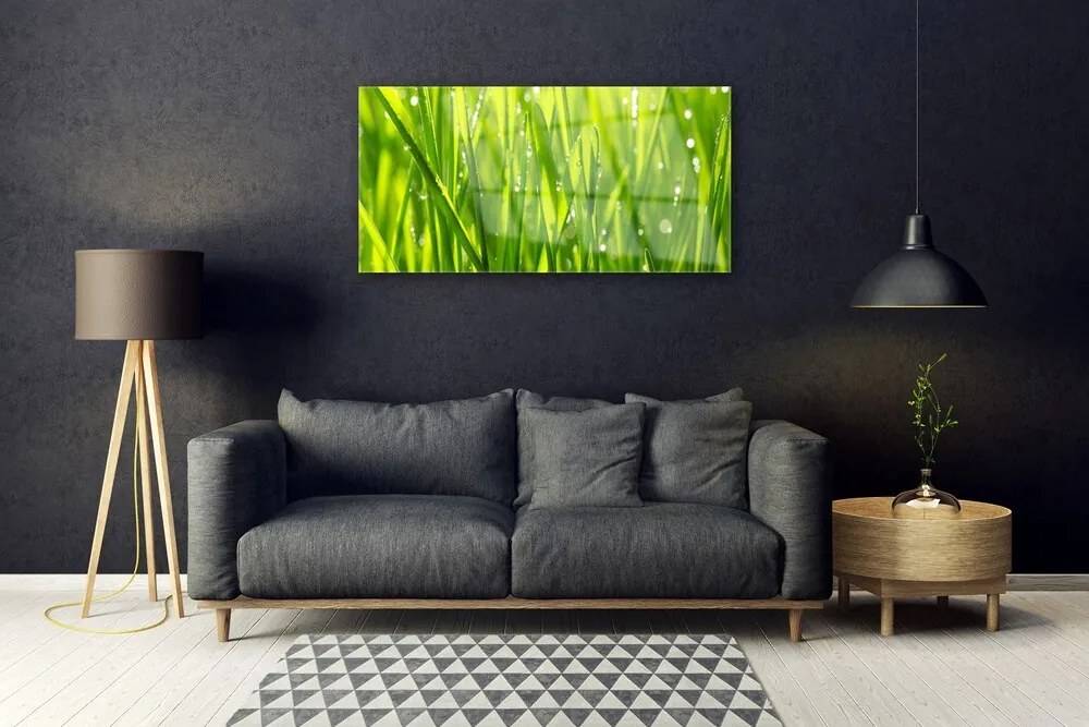 Skleneny obraz Tráva rastlina príroda 120x60 cm