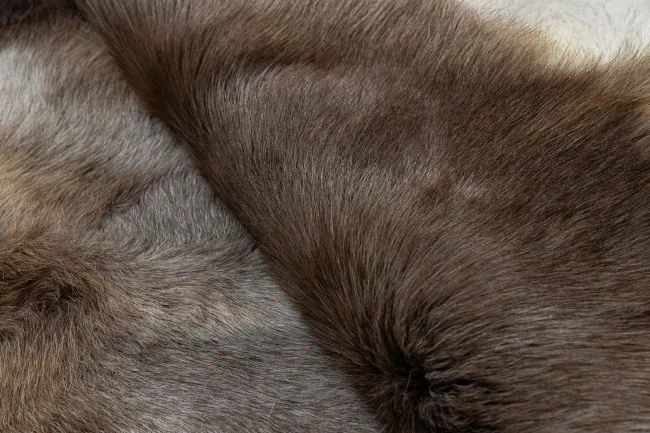 Koberec RENIFER POK009 PREMIUM hnedý / sivý