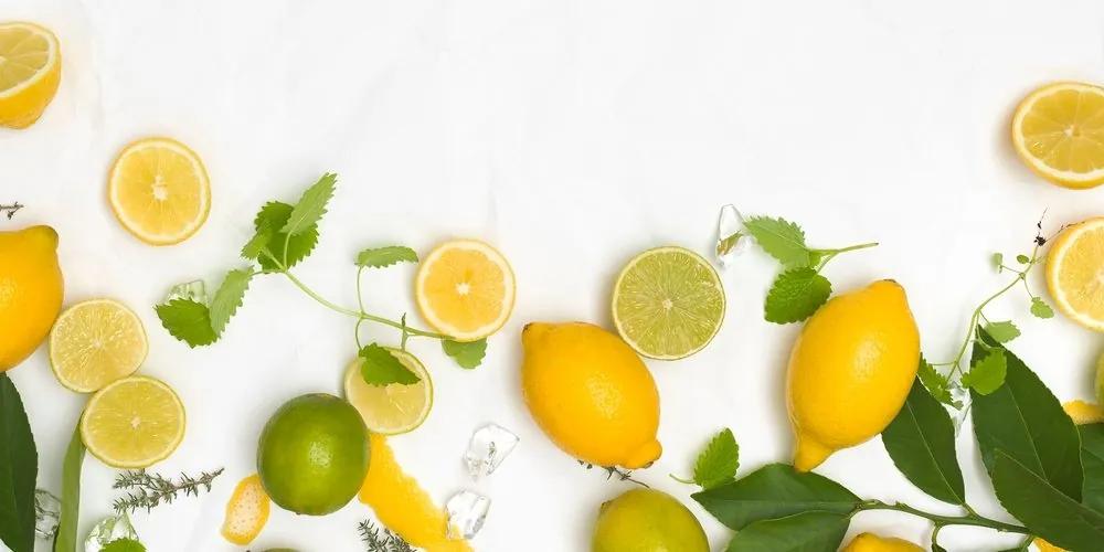 Obraz mix citrusových plodov - 120x60