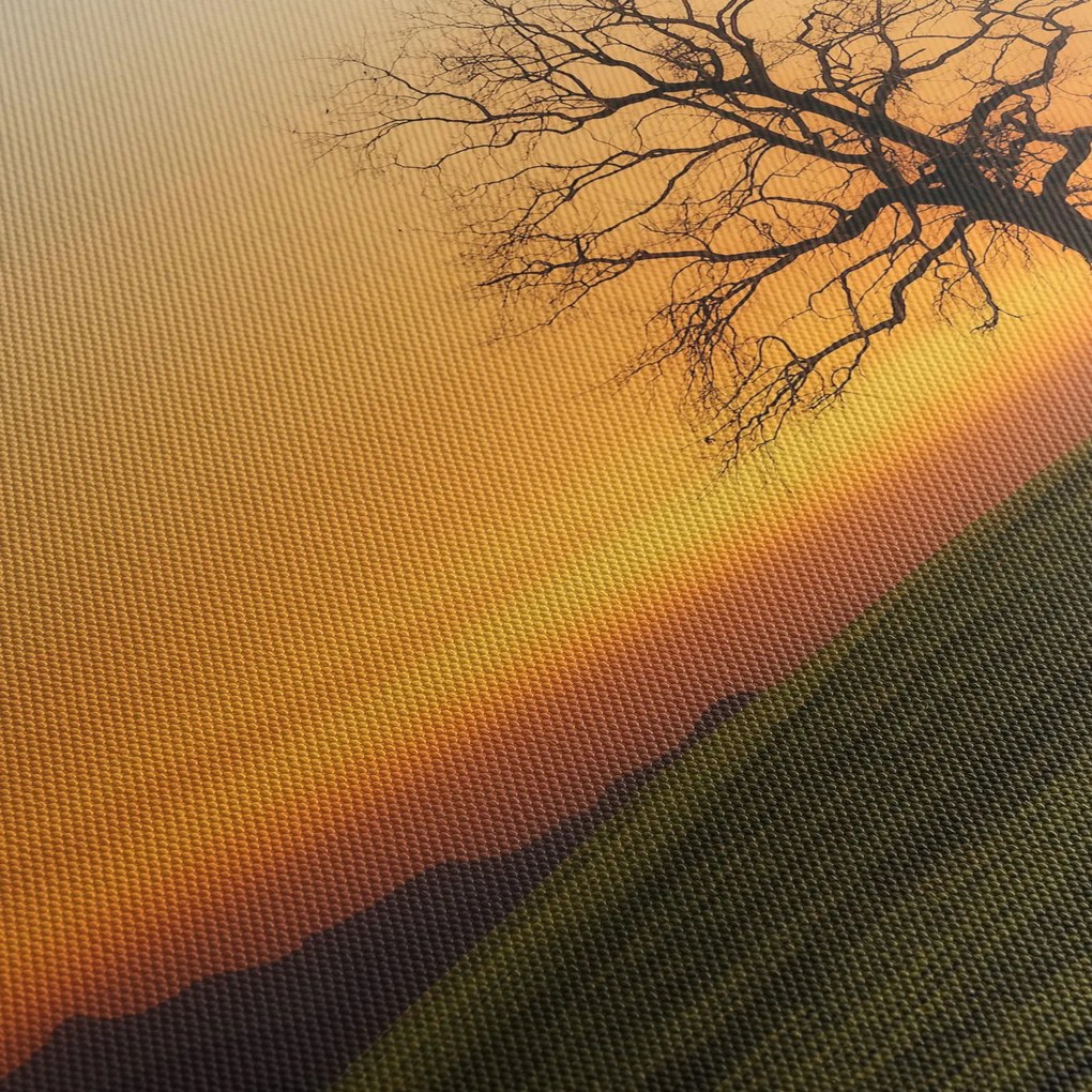 Obraz západu slnka na lúke (90x60 cm)