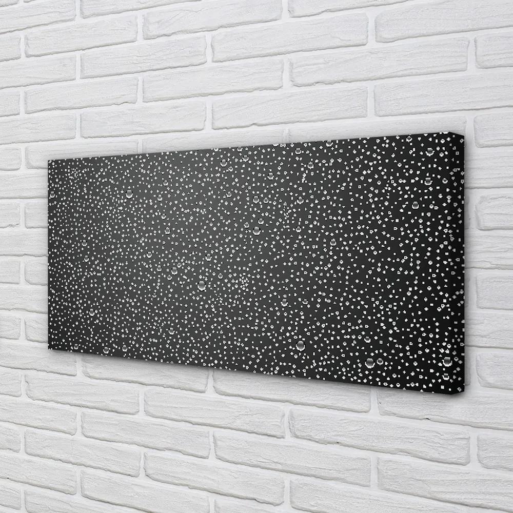 Obraz canvas Rosy kvapky vody 140x70 cm