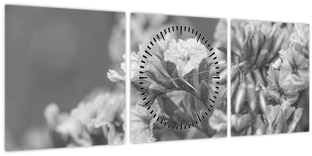 Obraz - Sušené kvety (s hodinami) (90x30 cm)