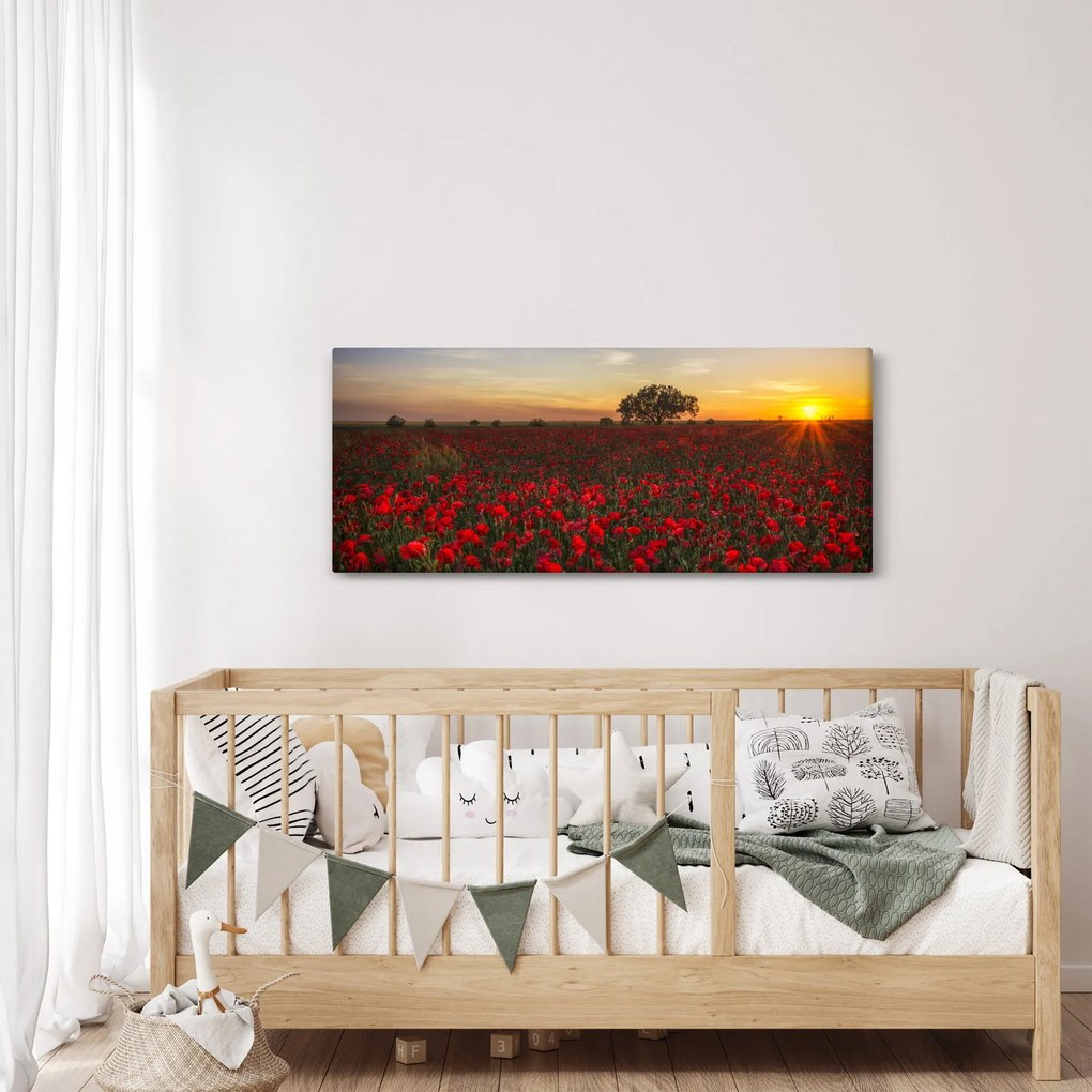 Obraz lúky s vlčími makmi (120x50 cm)