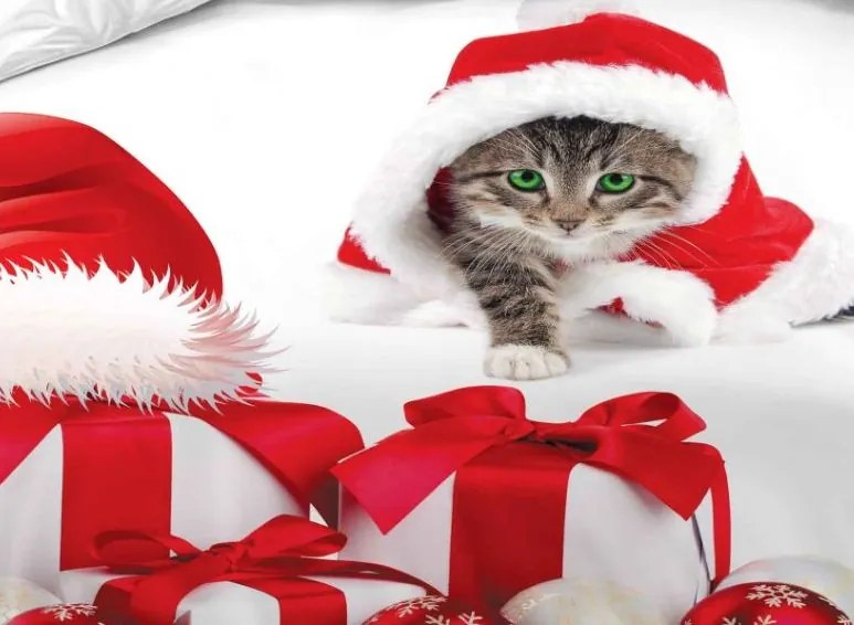Posteľné obliečky KRISMAS CAT 7-dielna sada 140x200 cm