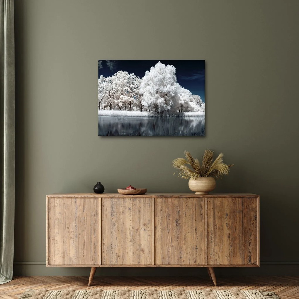 Obraz - Snehobiele stromy (70x50 cm)