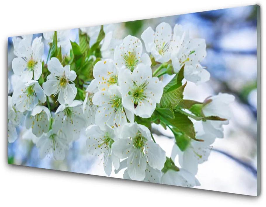 Obraz plexi Kvety strom listy príroda 100x50 cm
