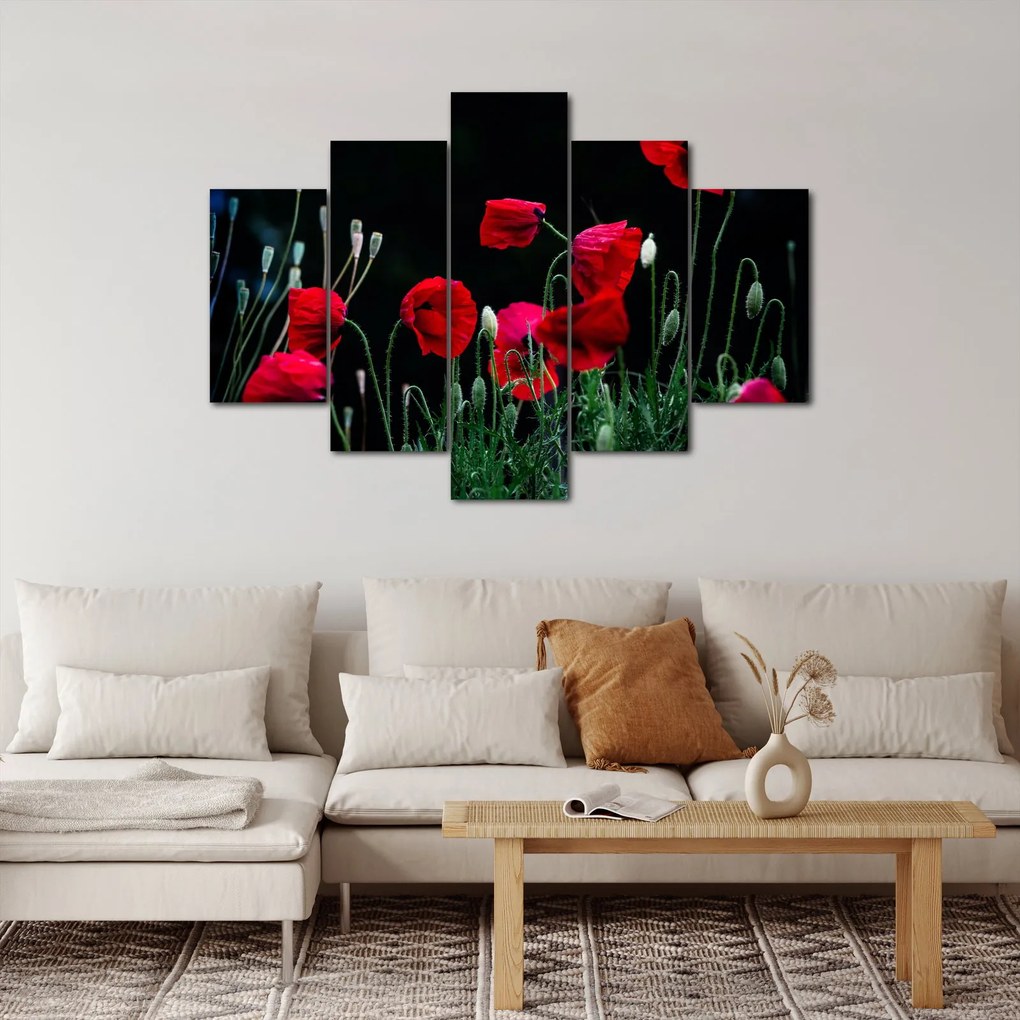 Obraz - Tanec vlčích makov (150x105 cm)