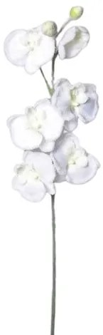 Umelá zasnežená Orchidea biela, 81 cm