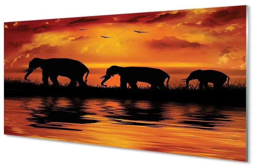 Obraz na skle slony West Lake 100x50 cm