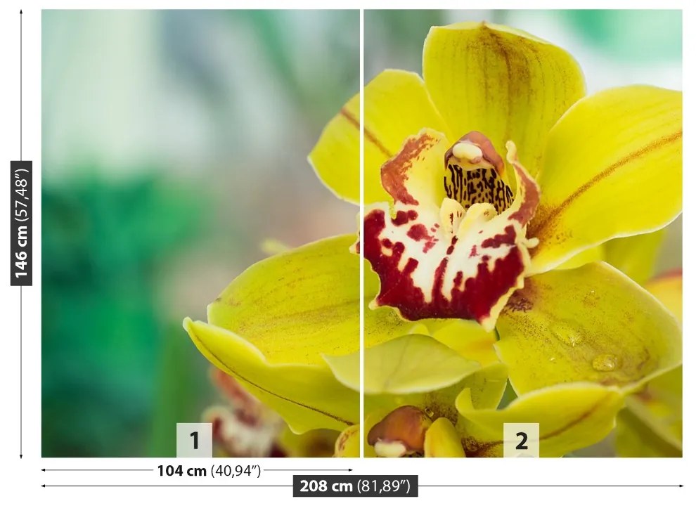 Fototapeta Vliesová Žltá orchidea 104x70 cm
