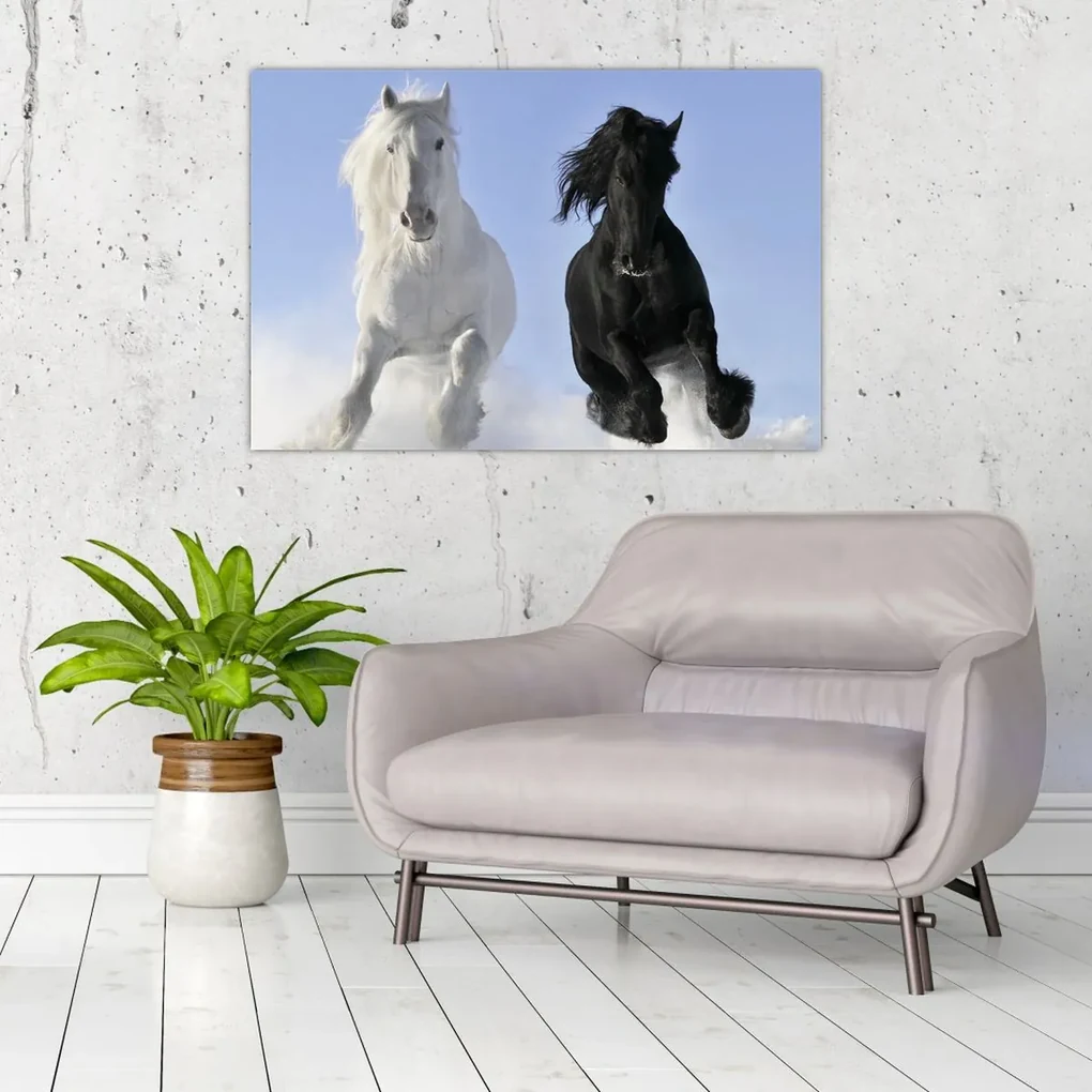 Obraz - Kone v zime (90x60 cm)