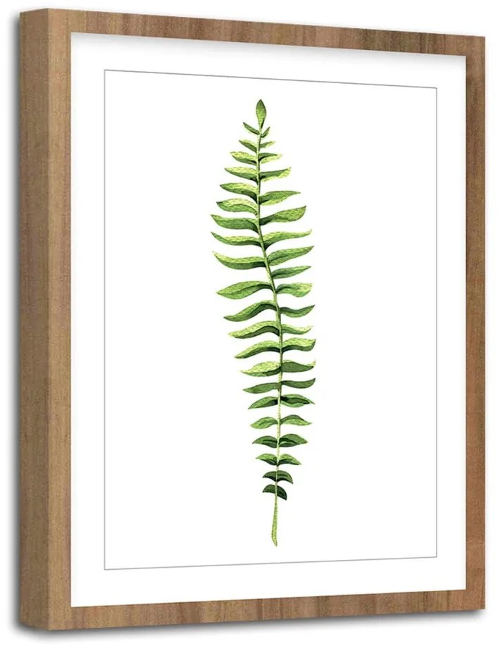 Obraz Styler Modernpik Greenery Wooden Fern, 30 × 40 cm