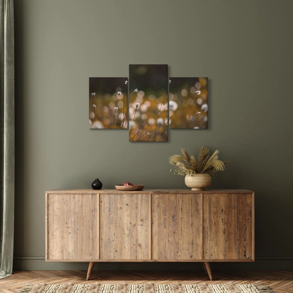 Obraz - Lúka s cottongrass N⁰2 (90x60 cm)