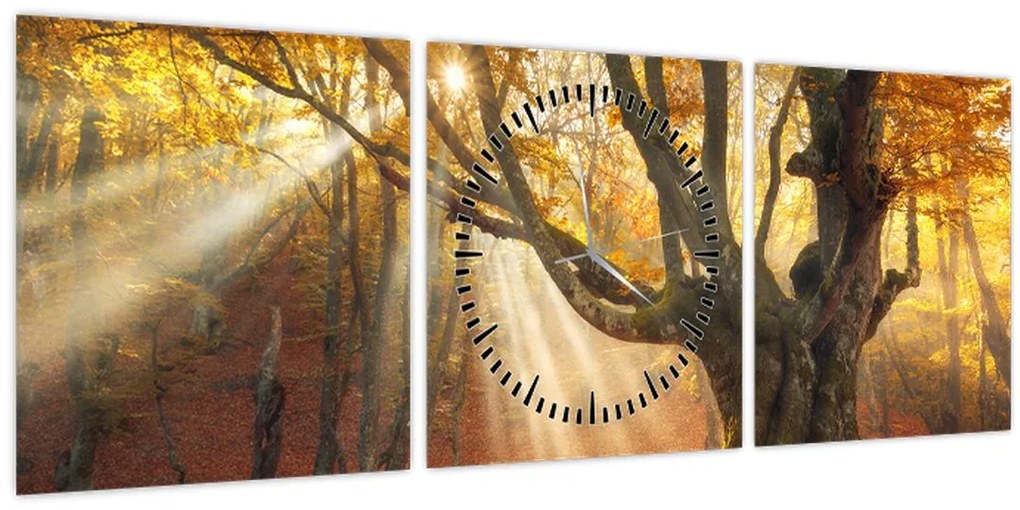 Obraz - Jesenný svit (s hodinami) (90x30 cm)