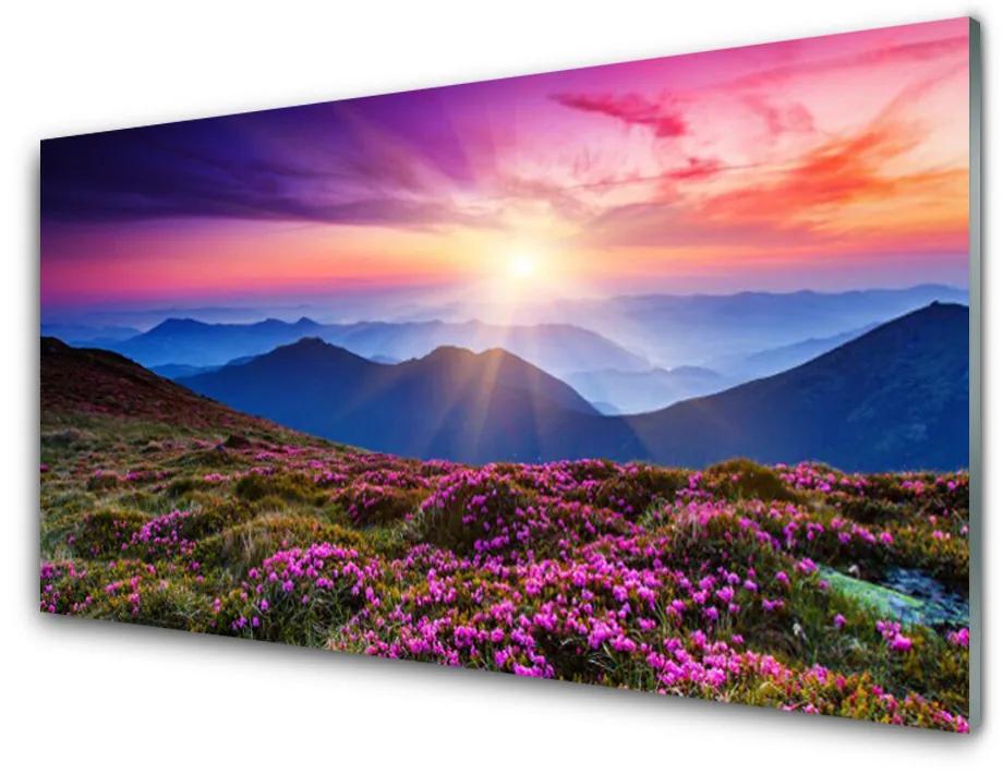 Obraz na skle Hora lúka kvety príroda 140x70 cm