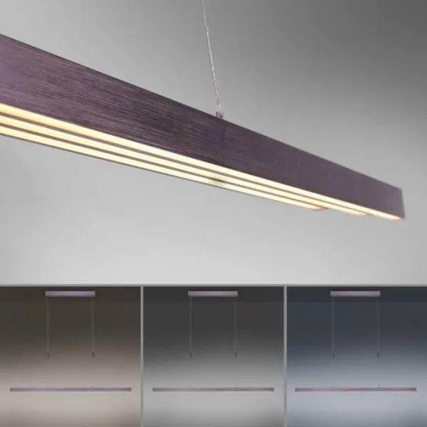 Paul Neuhaus 2568-24 - LED Stmievateľný luster na lanku ADRIANA LED/14W/230V