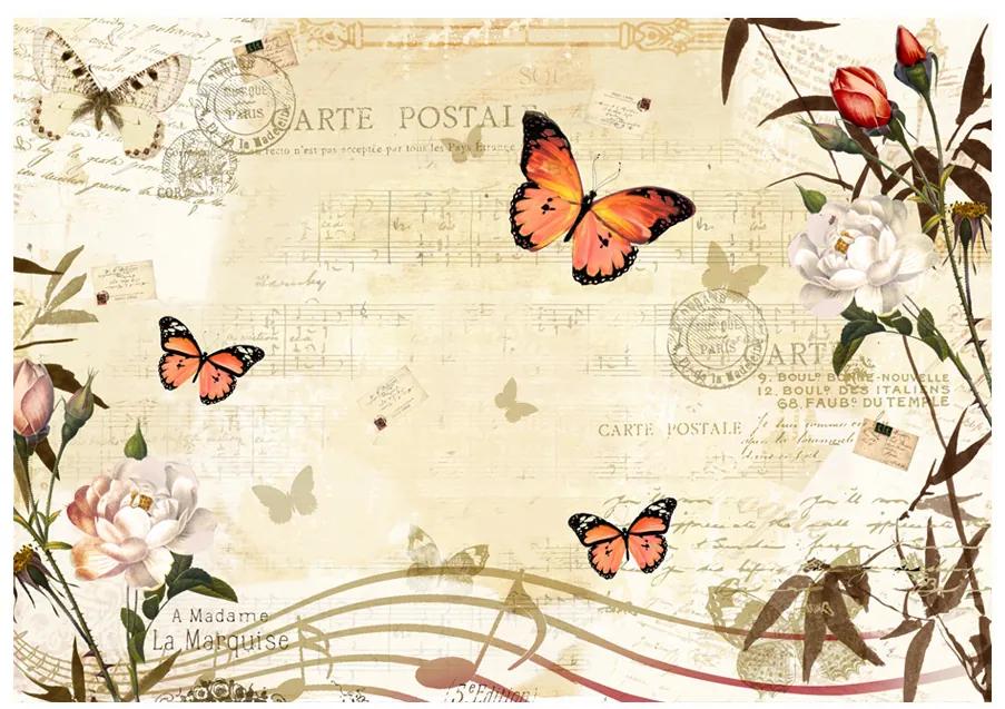 Artgeist Fototapeta - Melodies of butterflies Veľkosť: 100x70, Verzia: Standard