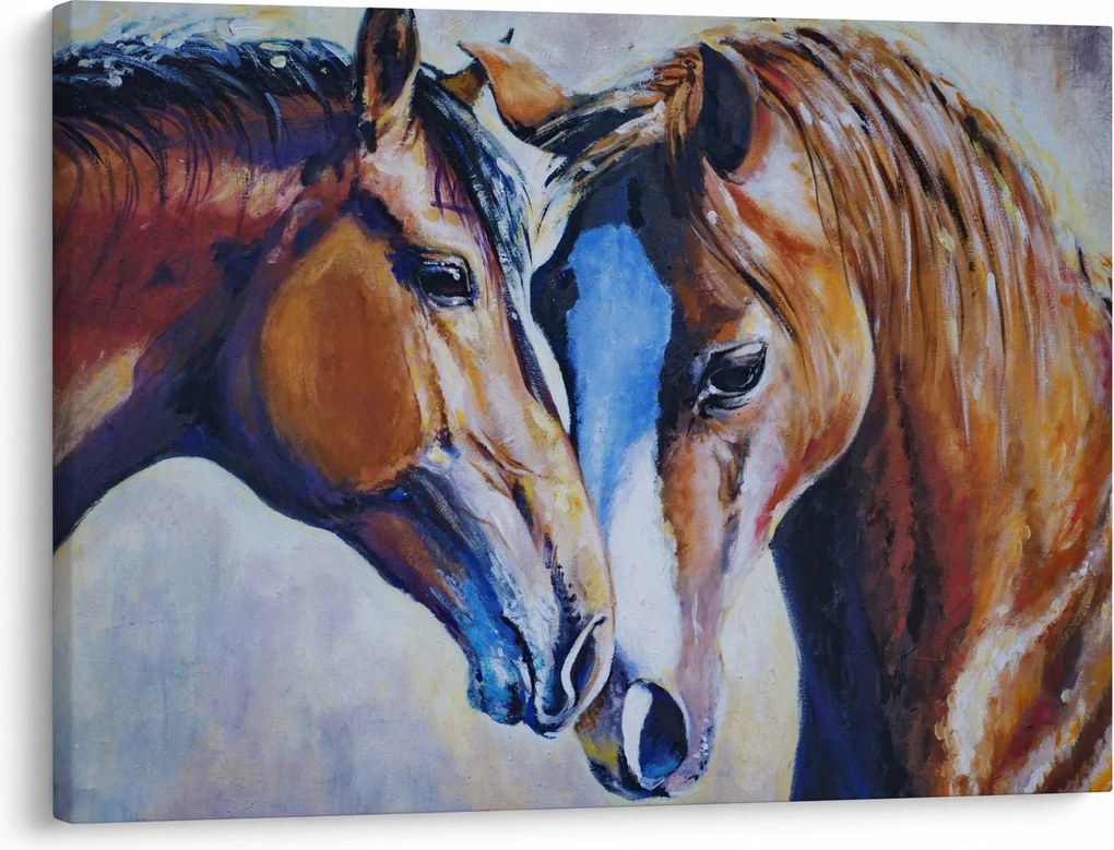 Obraz - Zamilované kone (70x50 cm)
