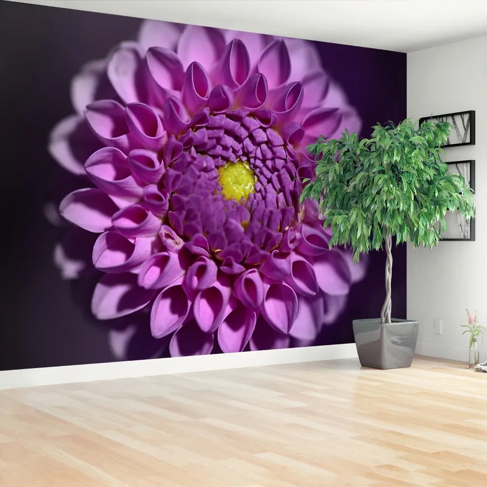 Fototapeta Vliesová Dahlia ružová 104x70 cm