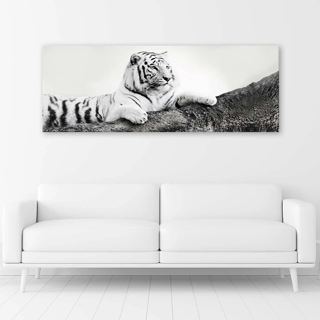 Gario Obraz na plátne Pozorný tiger Rozmery: 150 x 50 cm