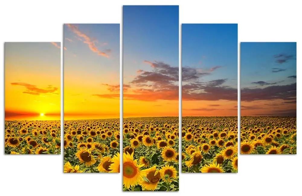 Obraz na plátně pětidílný Západ slunce se slunečnicemi - 200x100 cm