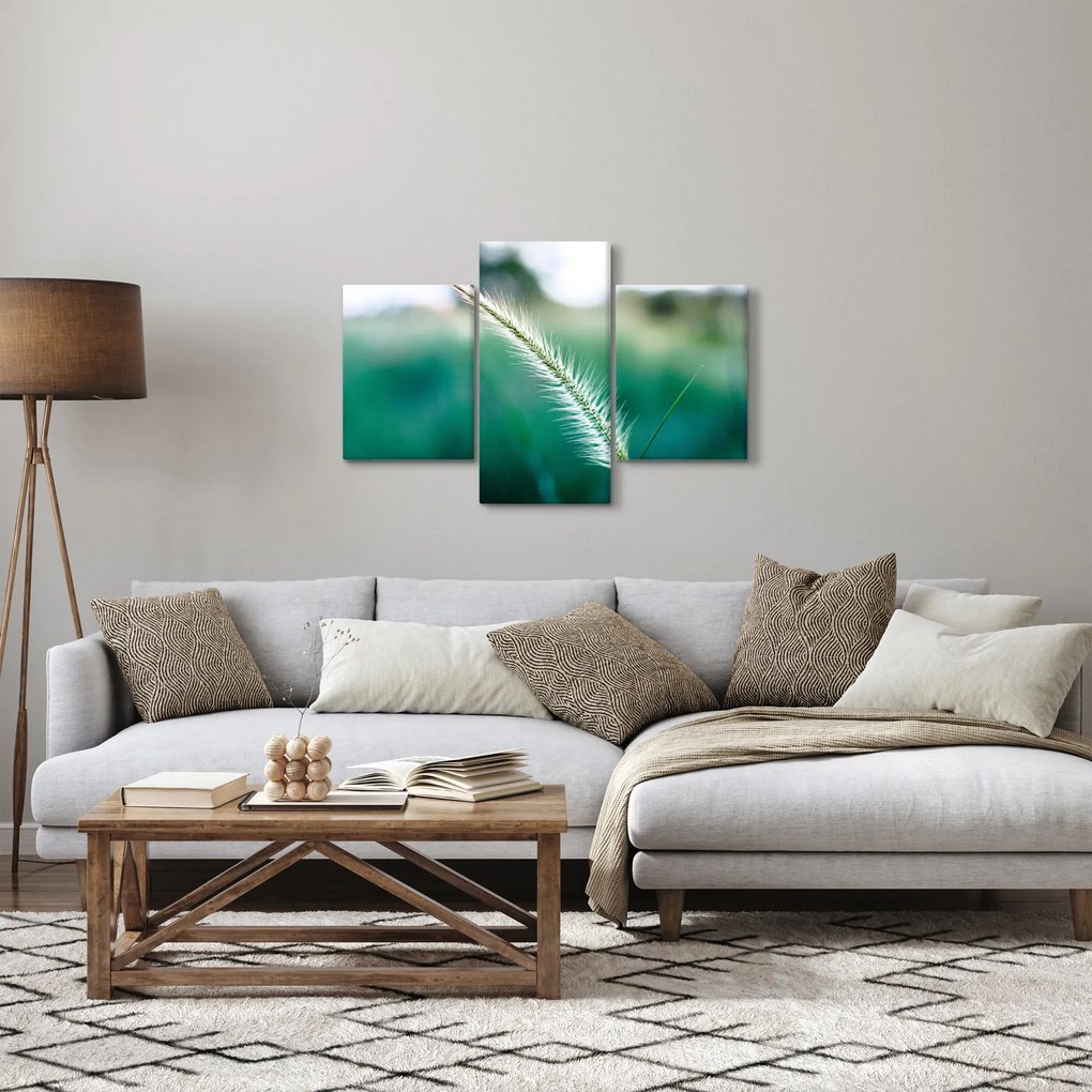 Obraz steblá trávy (90x60 cm)
