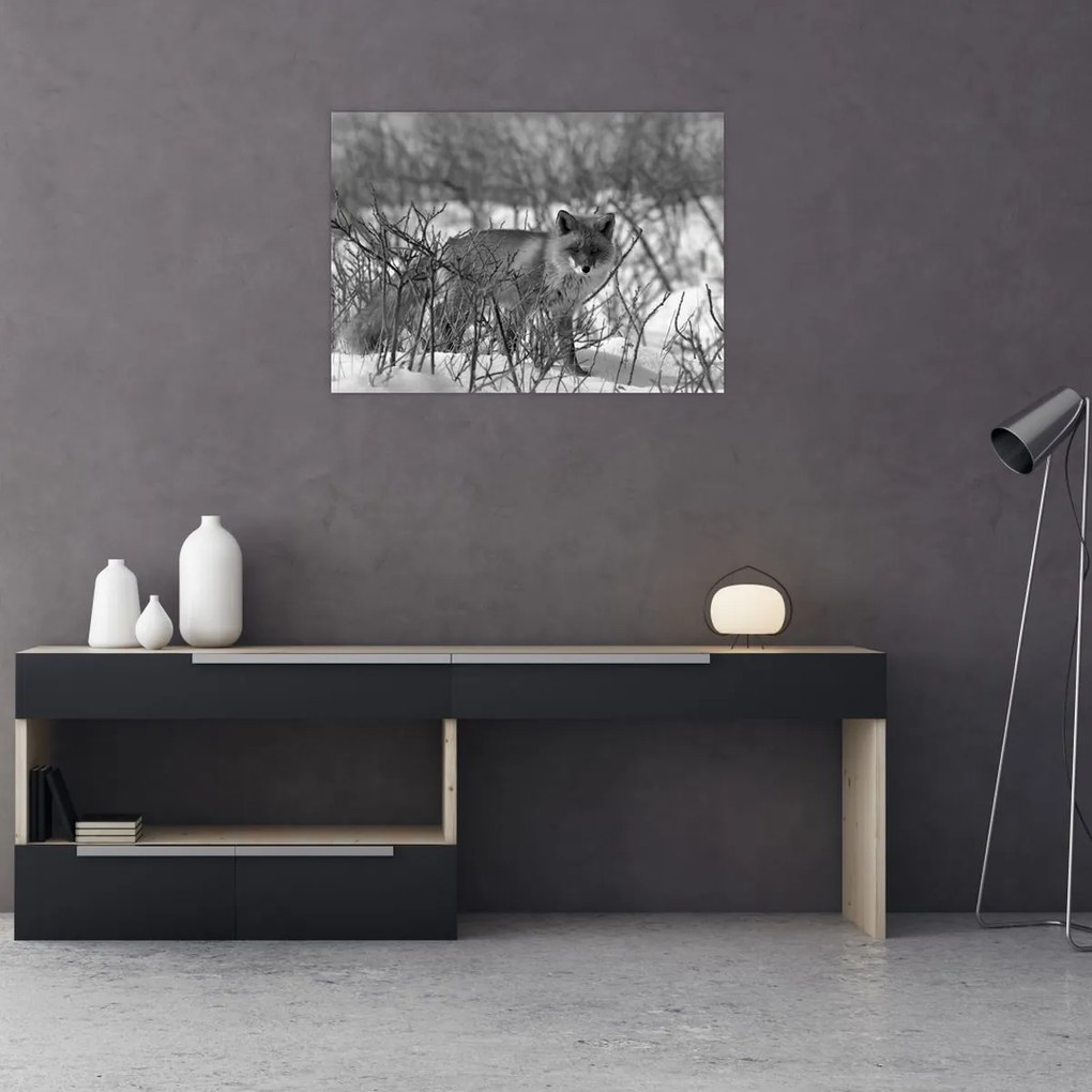 Obraz - Líška v zime (70x50 cm)