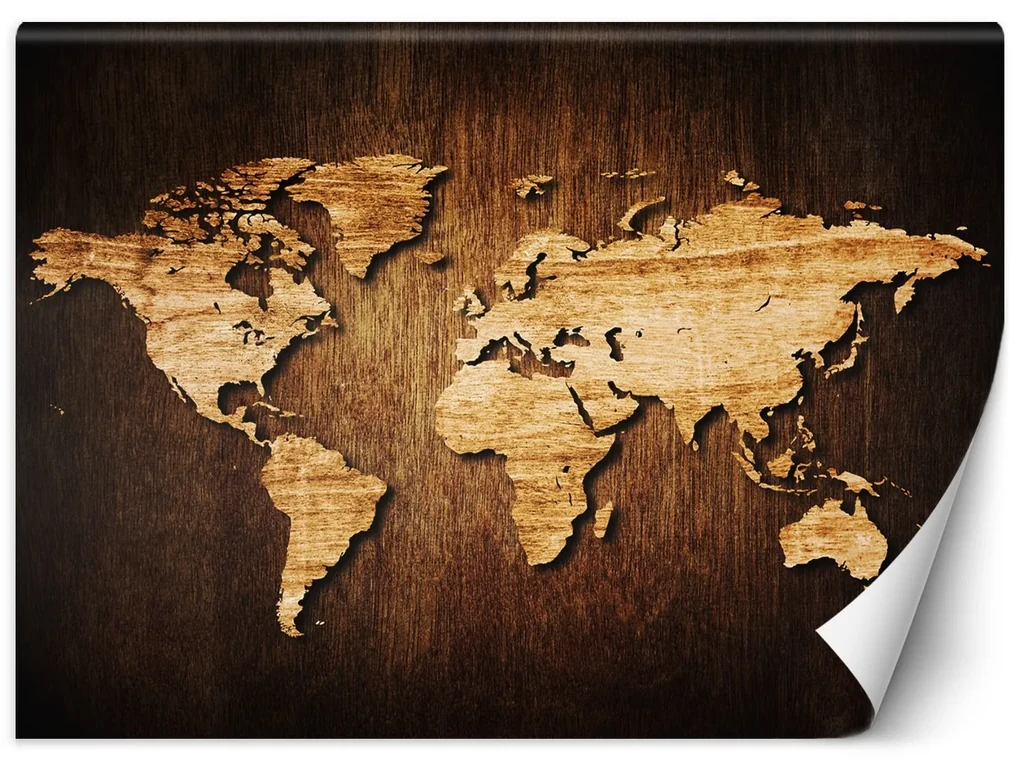 Gario Fototapeta Mapa sveta na dreve Materiál: Vliesová, Rozmery: 100 x 70 cm